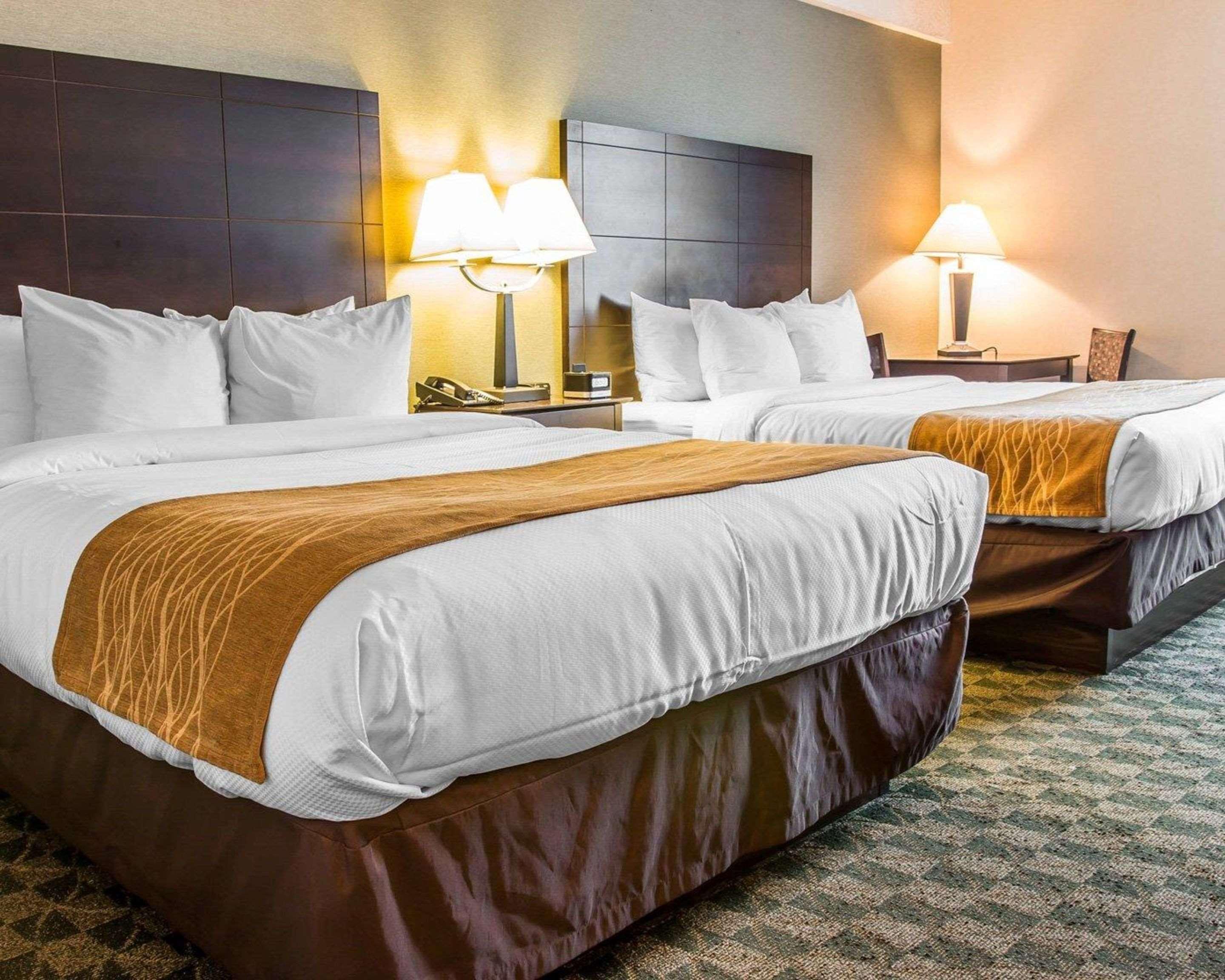 Comfort Inn Whitehall Near Michigan'S Adventure Екстериор снимка